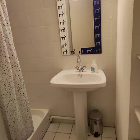 Apartment Le Thalassa I *